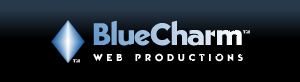 Custom Web Design and Web Development